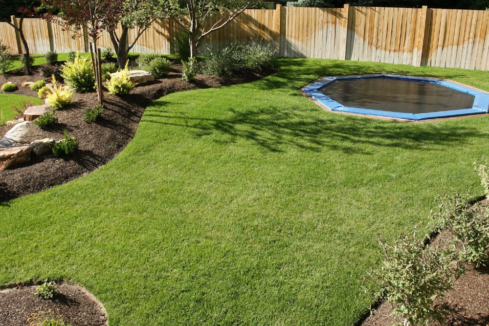 backyard-landscaping.jpg