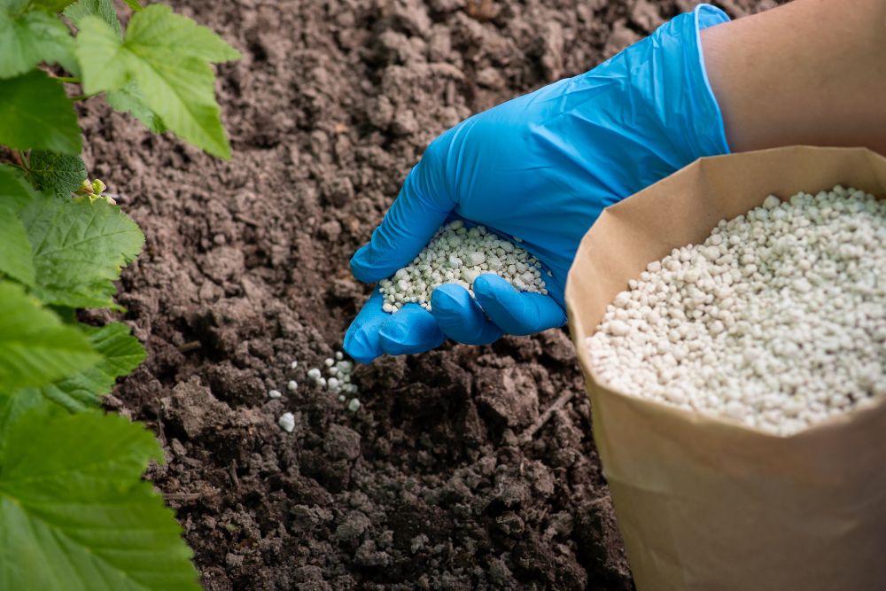 fertilizer-application.jpg