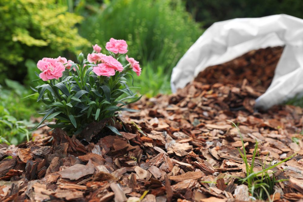 mulch-installation-2.jpg
